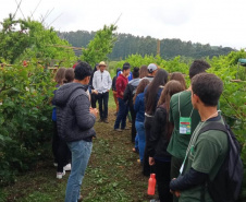 Estudantes conhecem tecnologias para a produção de frutas de clima temperado na Estação de Pesquisa do IDR-Paraná
