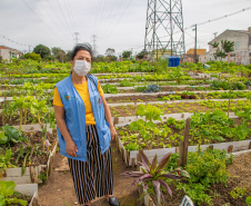 Hortas urbanas sob linhas de energia produzem toneladas de alimentos orgânicos no PR