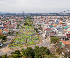 Hortas urbanas sob linhas de energia produzem toneladas de alimentos orgânicos no PR