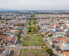 Hortas urbanas sob linhas de energia produzem toneladas de alimentos orgânicos no PR