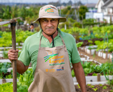 Hortas urbanas sob linhas de energia produzem toneladas de alimentos orgânicos no PR