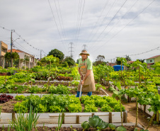 Hortas urbanas sob linhas de energia produzem toneladas de alimentos orgânicos no PR