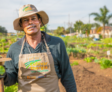 Hortas urbanas sob linhas de energia produzem toneladas de alimentos orgânicos no PR