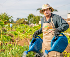 Hortas urbanas sob linhas de energia produzem toneladas de alimentos orgânicos no PR