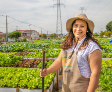 Hortas urbanas sob linhas de energia produzem toneladas de alimentos orgânicos no PR