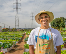 Hortas urbanas sob linhas de energia produzem toneladas de alimentos orgânicos no PR