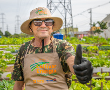 Hortas urbanas sob linhas de energia produzem toneladas de alimentos orgânicos no PR