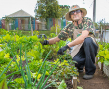 Hortas urbanas sob linhas de energia produzem toneladas de alimentos orgânicos no PR