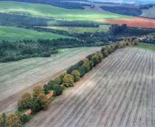 Caderno Regional Agropecuário analisa formação do preço de terras no Paraná