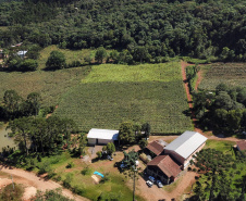 Caderno apresenta números da subvenção ao Seguro Rural no Paraná