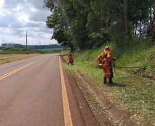 Paraná tem a melhor malha rodoviária da região Sul 