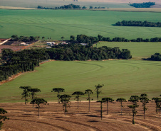 Caderno Regional Agropecuário analisa formação do preço de terras no Paraná