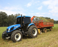 Agricultura lança novas edições do Prognóstico Agropecuário com perspectivas sobre seis produtos