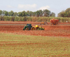 Plantio de soja no Paraná