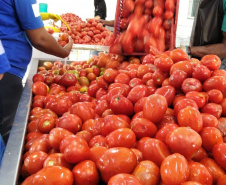 Convênio entre Polícia Penal e Ceasa oferece alimentos para famílias em vulnerabilidade