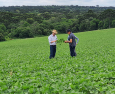 Giro Técnico da Soja reúne mais de 1000 produtores no Estado