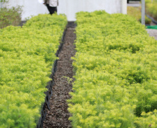 Boas práticas ambientais dão ao Paraná reconhecimento nacional em sustentabilidade