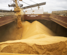  Porto de Paranaguá tem alta de 11,73% nas movimentações de grãos pelo Corredor Leste