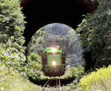 Ano da Nova Ferroeste é marcado pela aprovação da sociedade e divulgação do edital