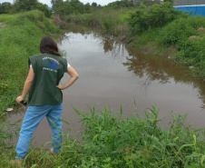 IAT investiga denúncias de crimes ambientais em Paranaguá
