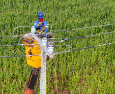 Com foco na modernização das redes, Copel vai investir R$ 2,1 bilhões em 2023 