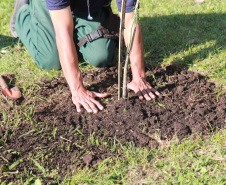 Boas práticas ambientais dão ao Paraná reconhecimento nacional em sustentabilidade