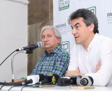 Coletiva Seil