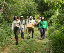 Com recuperação dos Caminhos do Peabiru, Estado vai aproveitar potencial da trilha histórica