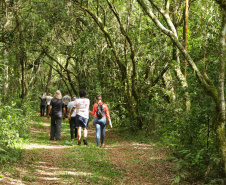 Com recuperação dos Caminhos do Peabiru, Estado vai aproveitar potencial da trilha histórica