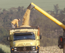 Agricultura divulga primeiras estimativas para a segunda safra 2022/2023 no Paraná