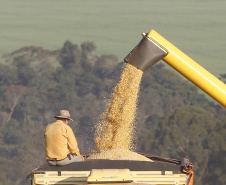 Agricultura divulga primeiras estimativas para a segunda safra 2022/2023 no Paraná