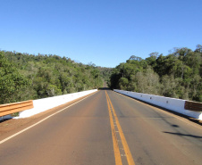 Edital de reforma de pontes e viaduto na região Central tem dois participantes 