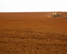 Paraná tem a melhor classificação do Brasil em potencialidade agrícola, segundo IBGE