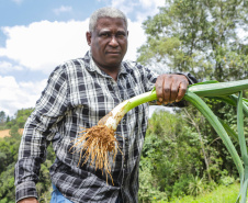 Líder nacional em produtores de orgânicos, Paraná investe para ampliar ainda mais o segmento - 