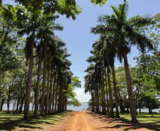 Com recuperação dos Caminhos do Peabiru, Estado vai aproveitar potencial da trilha histórica