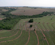Com foco em inovação, defesa agropecuária do Paraná ganhou impulso nos últimos anos