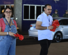 Paraná está na campanha nacional para prevenir atropelamentos de animais silvestres nas rodovias