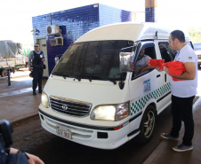 Paraná está na campanha nacional para prevenir atropelamentos de animais silvestres nas rodovias