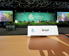 Projetos paranaenses são destaques em painel da COP15