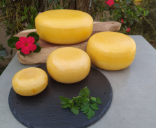 IDR - QUEIJO