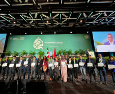 COP15: Paraná pode ser beneficiado com projetos para restauração da Mata Atlântica