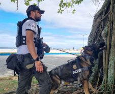 PCPR realiza fiscalização no Litoral com auxílio de cães policiais