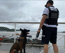 PCPR realiza fiscalização no Litoral com auxílio de cães policiais