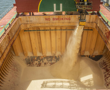  Porto de Paranaguá espera carregar sete milhões de toneladas de grãos e farelos no 1º trimestre do ano