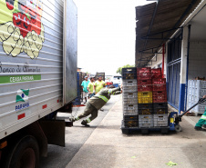 Banco de Alimentos - Comida Boa