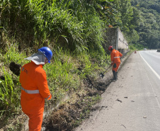 DER inicia nova etapa da recuperação da BR-277 no Litoral nesta segunda-feira 