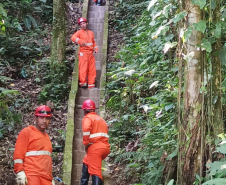 Obra de recuperação da BR-277 no Litoral entra na fase de contenção definitiva 