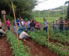 IDR-Paraná investe em capacitação para incentivar a produção agroecológica