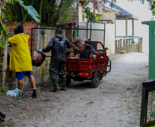 Estado reforça limpeza e coleta de lixo na Ilha do Mel durante a alta temporada