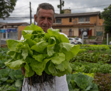 Horta copel